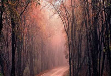 爱游戏官方-冰面惊雷！意大利黑马刺破短道速滑垄断夜