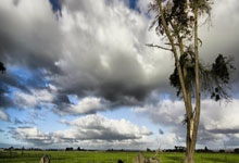 爱游戏在线-尼克斯队医拉响红色警报！球员防护体系面临全面升级革命