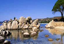 爱游戏体育-凯尔特人擒下黄蜂，客场意外失利背后的秘密