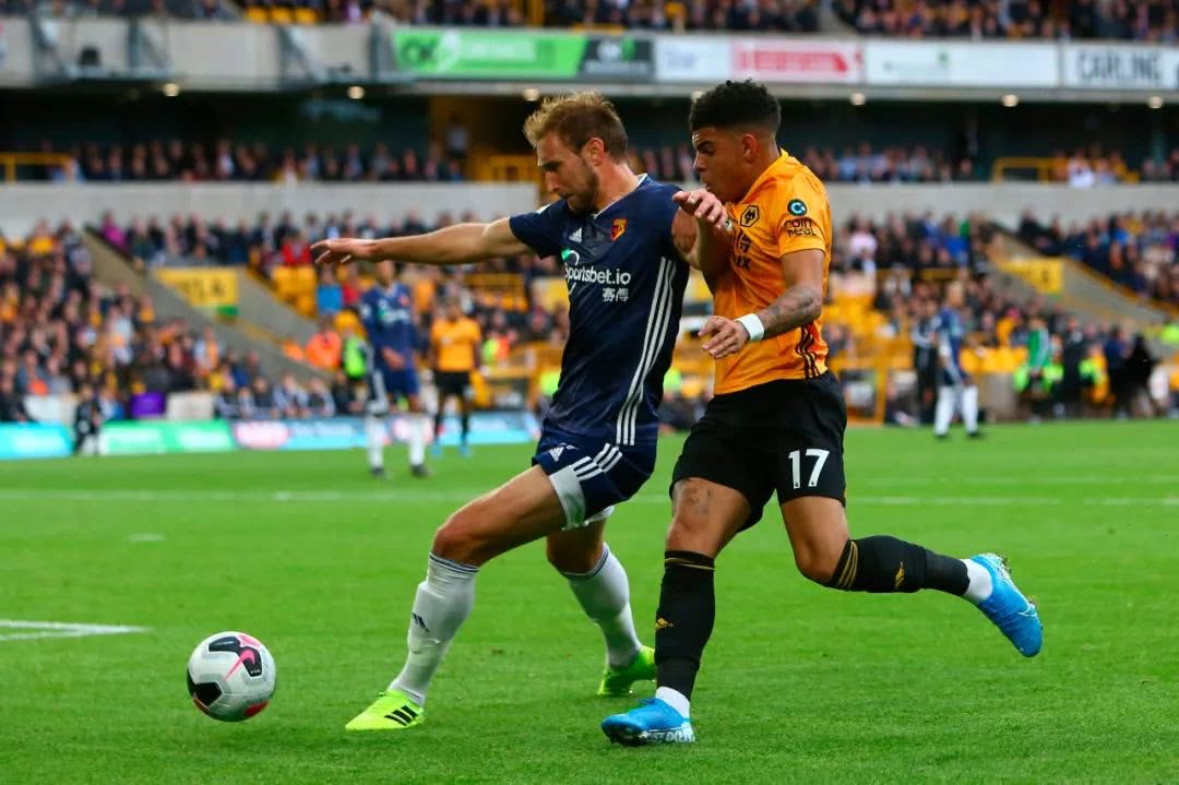 爱游戏APP-诺维奇主场逼平沃特福德，积分略有增长的简单介绍