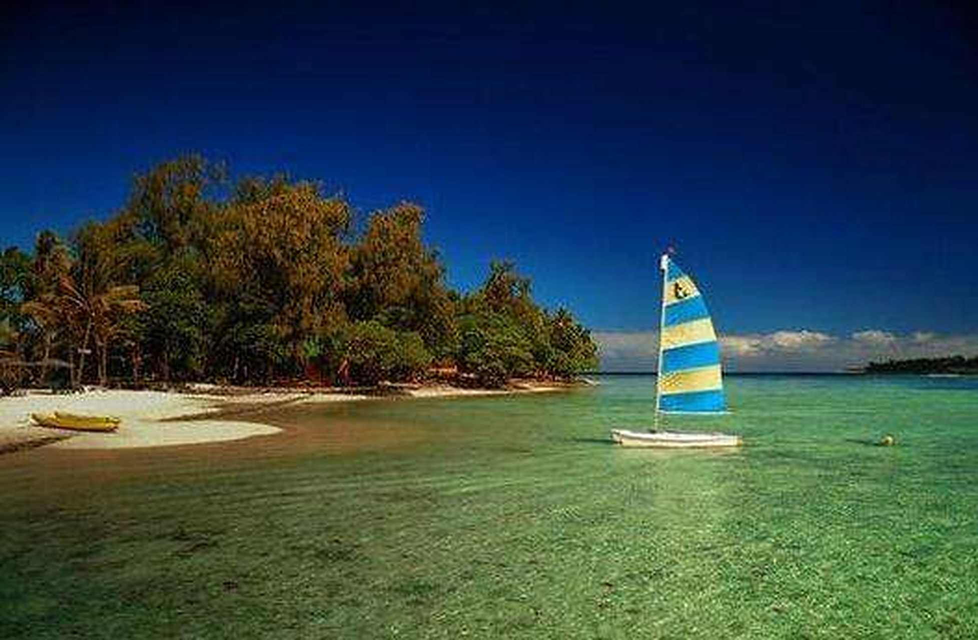 瓦努阿图豪取胜利,晋级赛事榜首 瓦努阿图豪取胜利,晋级赛事榜首