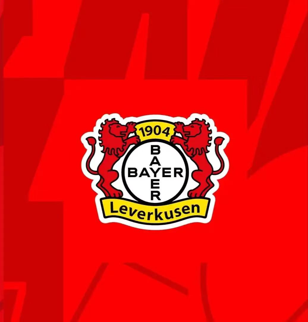 云达不莱梅主场取胜,积分添彩开心多 云达不莱梅主场取胜,积分添彩开心多