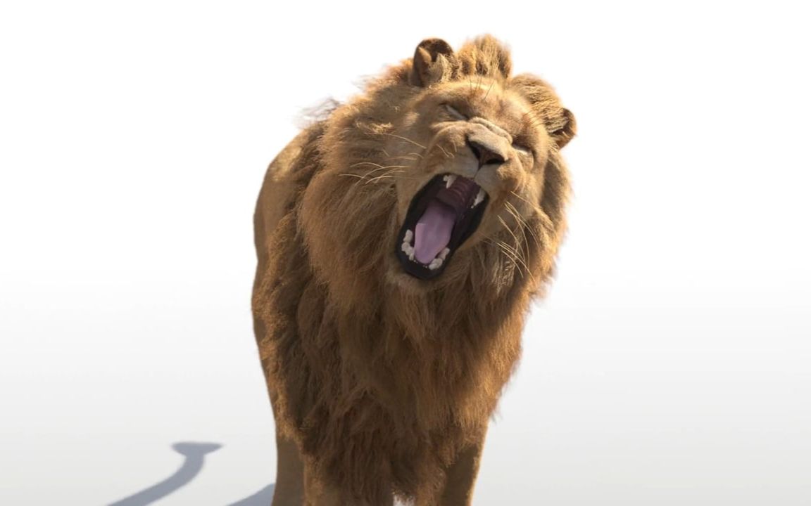 爱游戏APP-雄狮摔跤公牛,球队迎来一场胜利助推信心