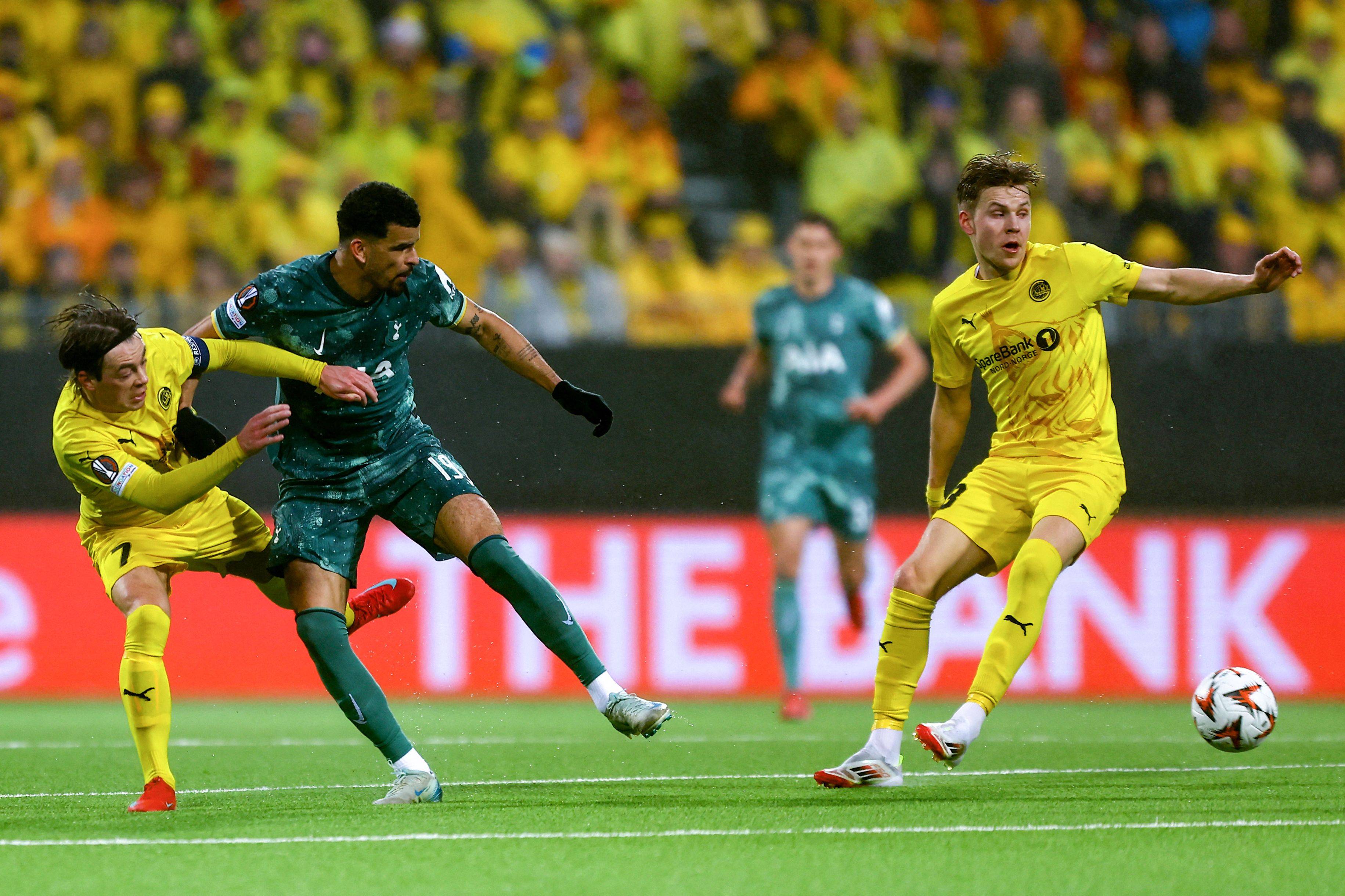 霍芬海姆客场连胜,贝尔格莱德成战场焦点 霍芬海姆客场连胜,贝尔格莱德成战场焦点