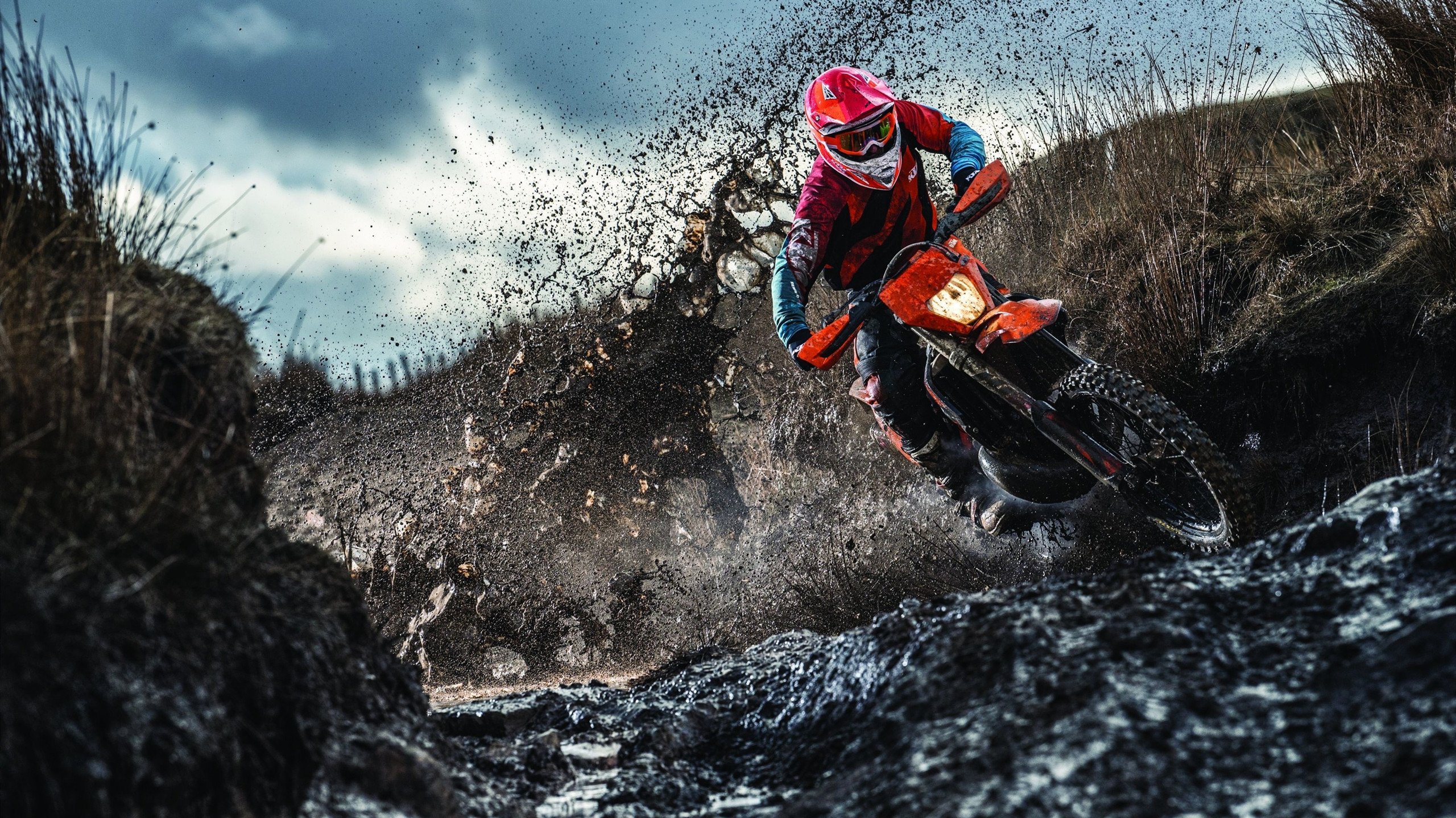 门被关上,又被陈雨菲一脚踹开